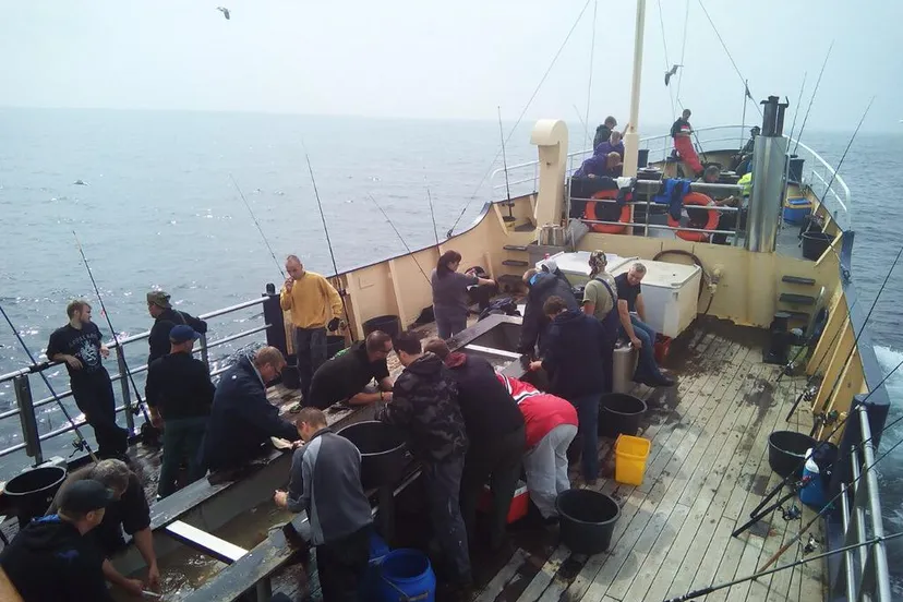 zeevissen met ms tender lauwersoog