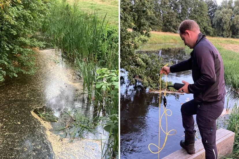 zuurstofarm water bij dickninghe wdodelta