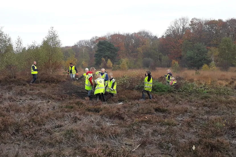 foto heide opschonen