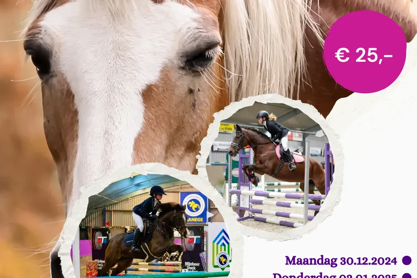 grey and white modern horse riding lessons flyer 20241130 173044 0000