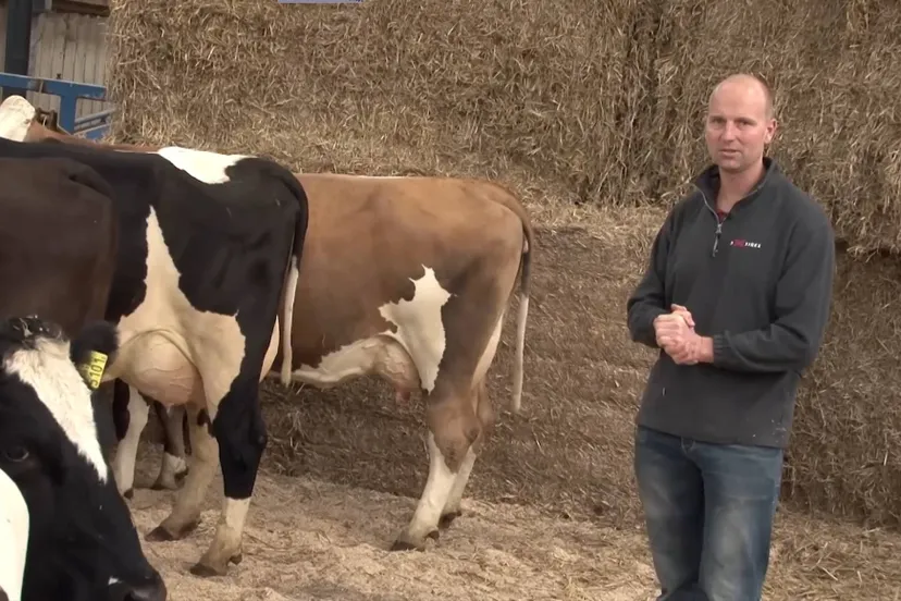 henk schoonvelde youtube