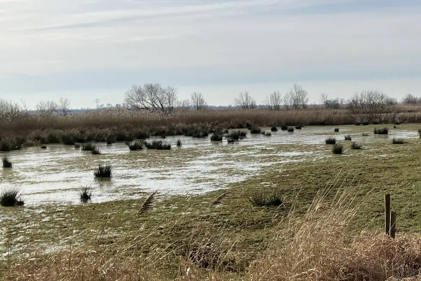 Herinrichting uiterwaarden Meppelerdiep (5) gesneden (1)