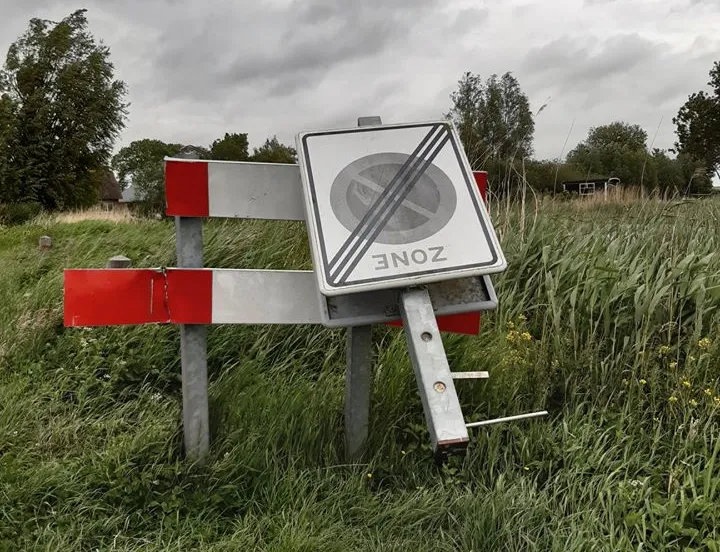 100481663 964666757285804 8582312386554232832 o