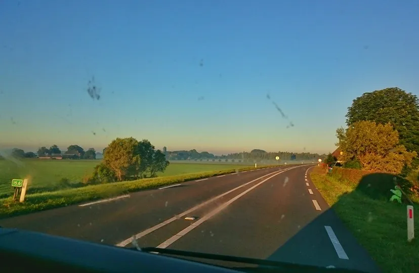 13726596 1116121635093935 2485077574623314692 n