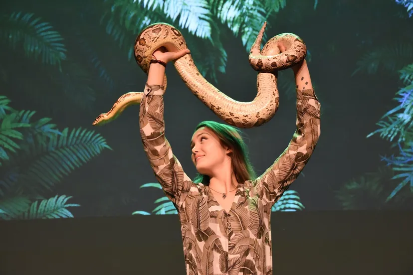 14 10 2020 superhelden van het dierenrijk c rechtenvrij web