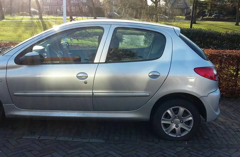 15747448 379877039028386 4447742545822924977 n