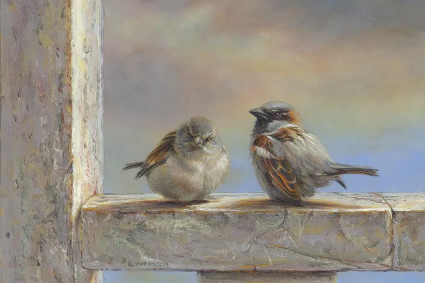 2019 4 20191021 illustratie erik van ommen huismus olieverf 1 1