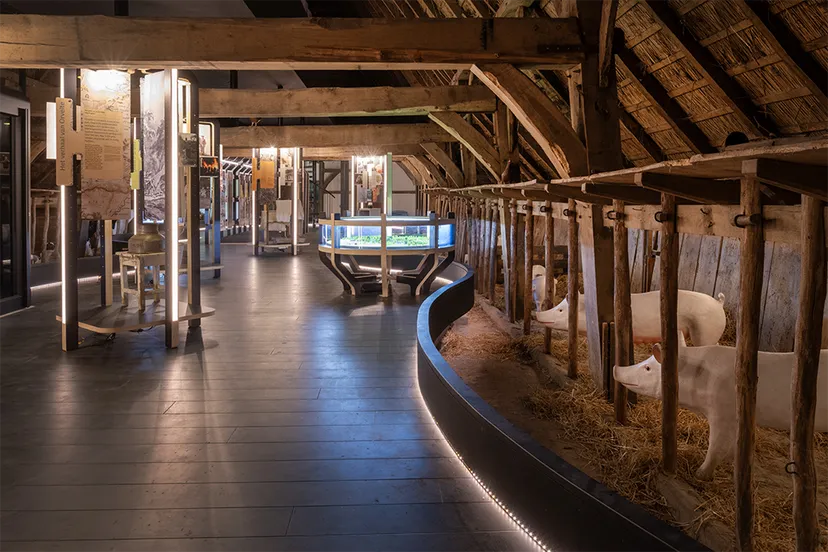 2023 06 bruntingerhof foto sake elzinga het drentse landschap 1