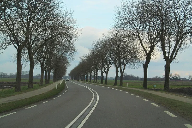 25158257512 b87eecded3 c