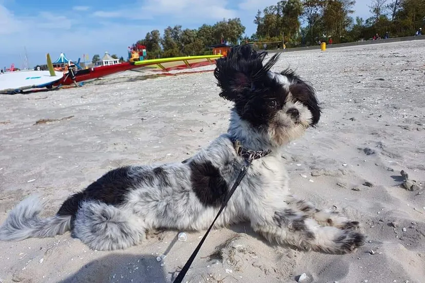 76becc32 659e 4206 b6dd b0e407cecd74