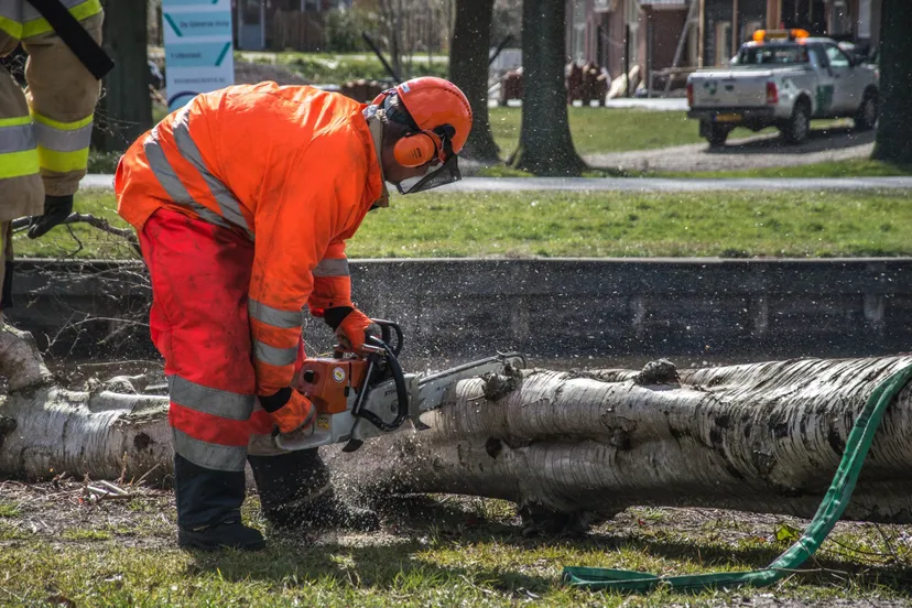 91258354 152524629625722 4618276473944408064 o