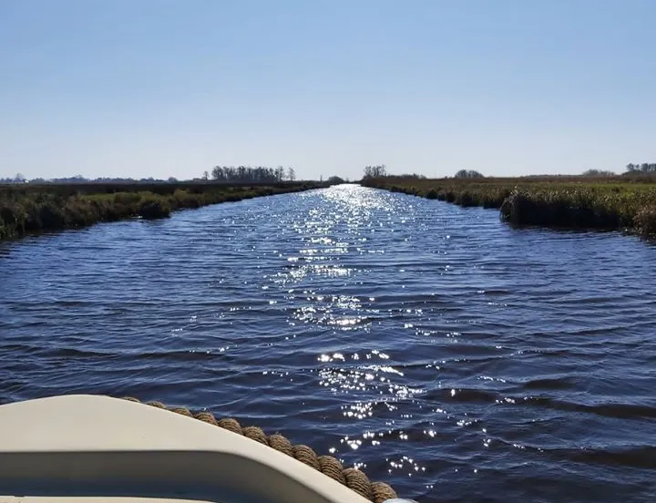 92163339 3112835632165067 6998150232416452608 o