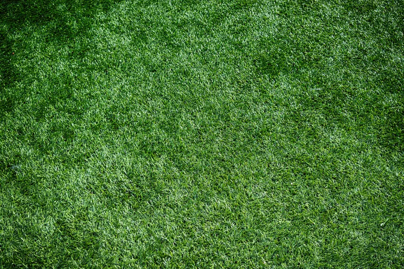 artificial turf 1711556 1920