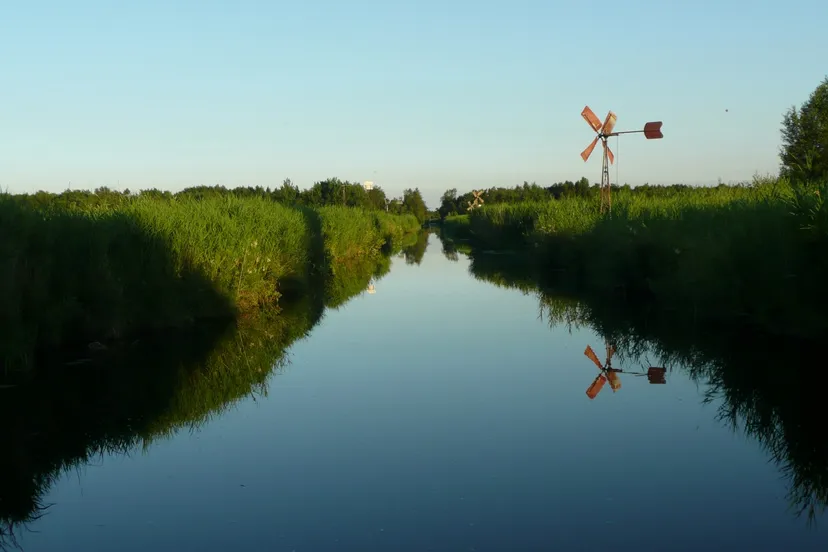 avondzon met molentje