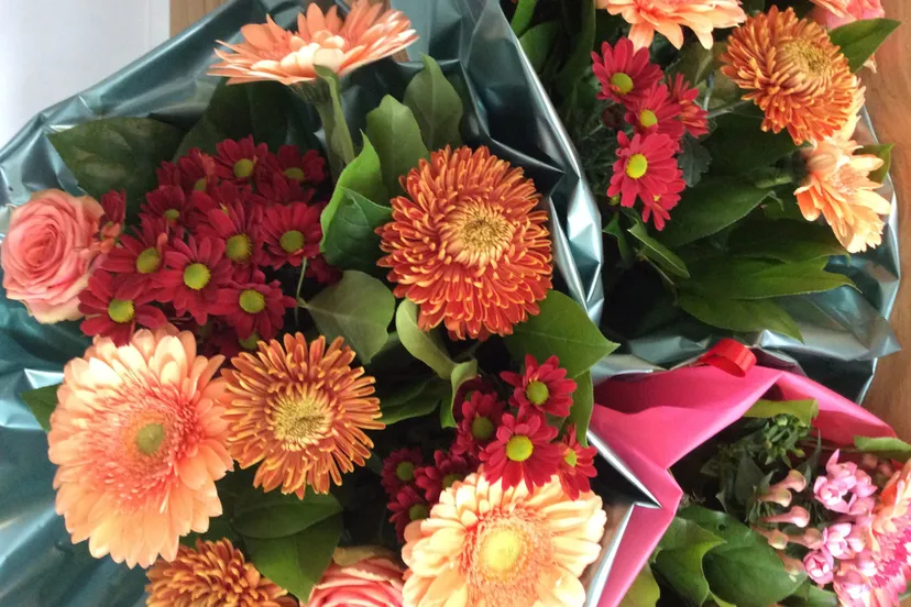 bosbloemen eigenfoto