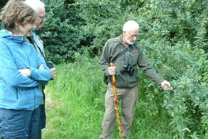 bouwedeelnemers bos zomer1