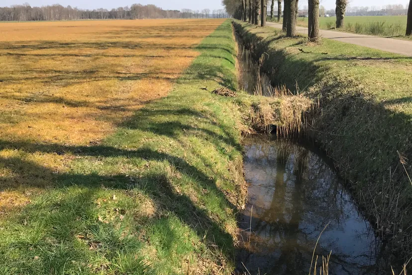 controle op gele percelen