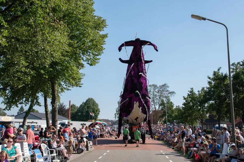 corso vollenhove 36