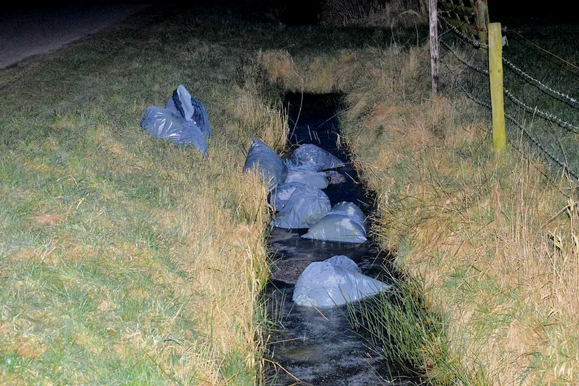 dsc 9553 kopie 1024x681 1024x681