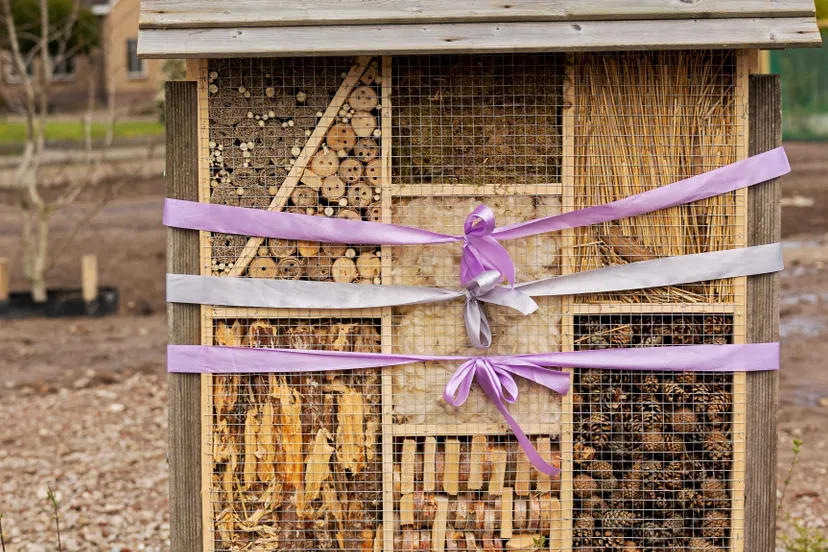 duurzaam xl insectenhotel foto door bertha van dijk