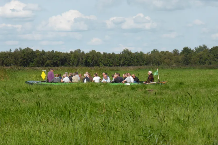 excursieboot voorjaar bos achtergrond