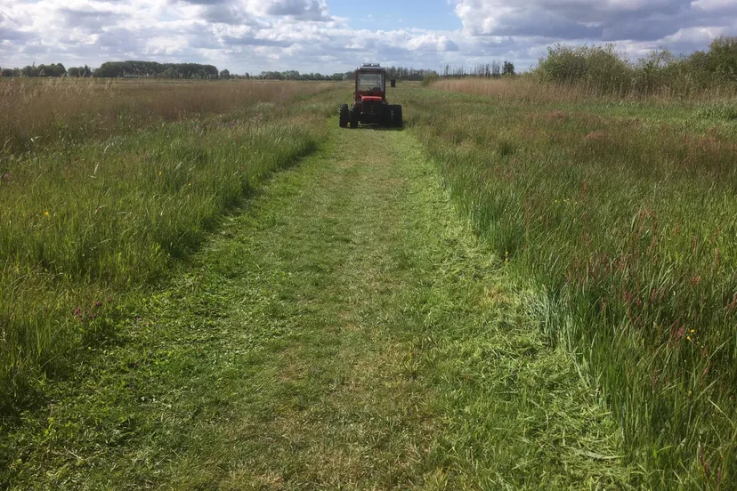 foto wandelpaden breder gemaaid