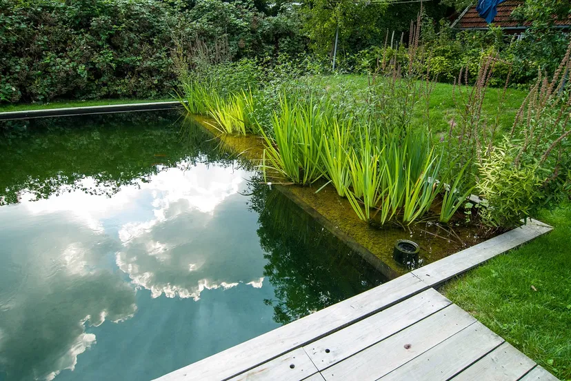 groen en water in tuin