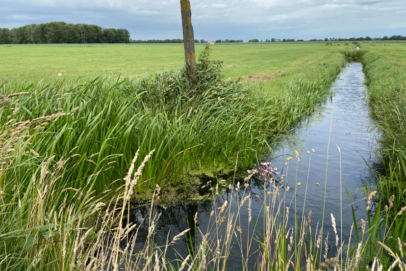 herinrichting polders nijeveen kolderveen
