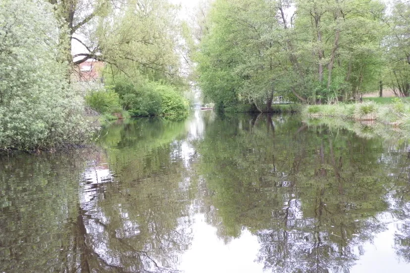 ii juni rottige meente