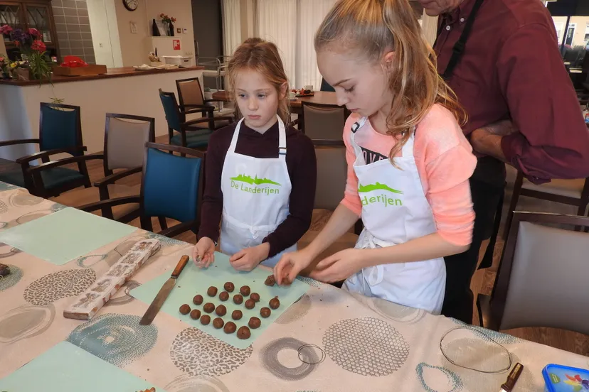 koekje van eigen deeg landerijen copyright jan smit