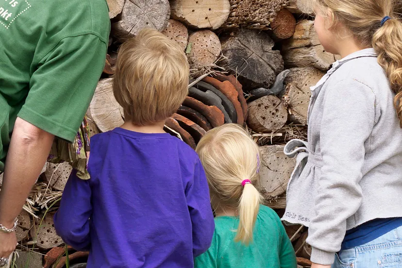landschapoverijssel bijenhotel 0 2