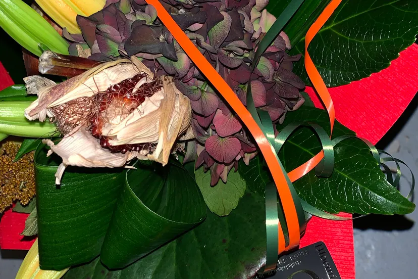 mantelzorg compliment