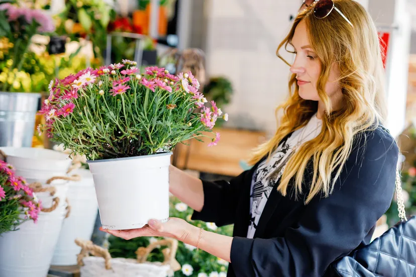 moederdag winactie svs