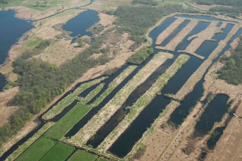 nmrg19456 trekagaten schinkellanden r messemaker