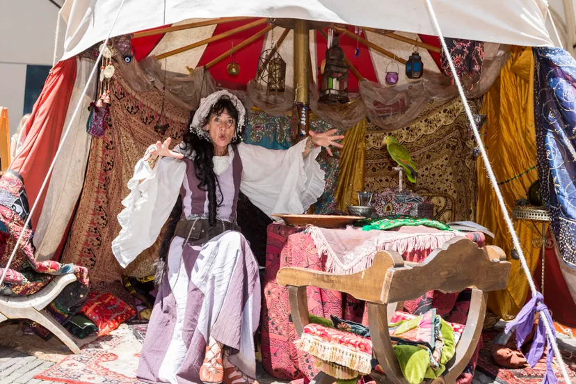 past times waarzegster madame roza