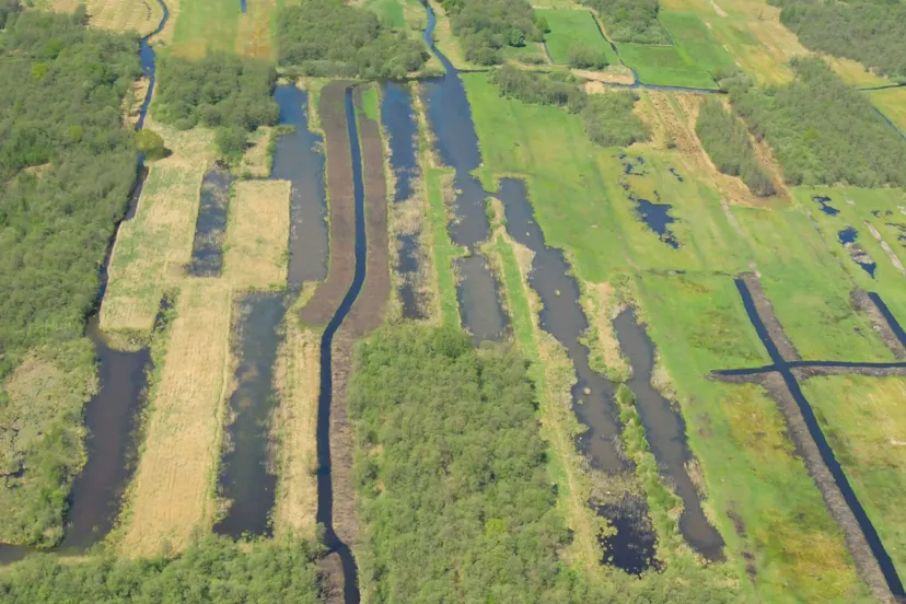 petgaten zwartsluis rm