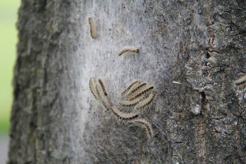 photo 2018 06 24 22 20 40