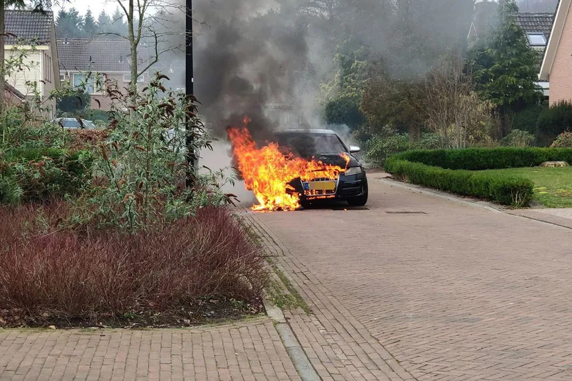 photo 2019 03 02 11 48 35