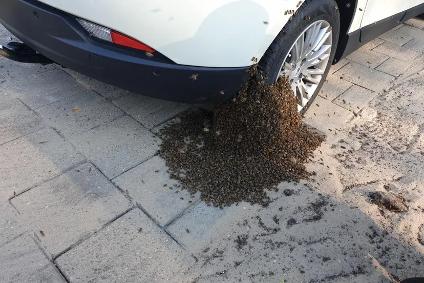 photo 2019 04 21 00 39 01