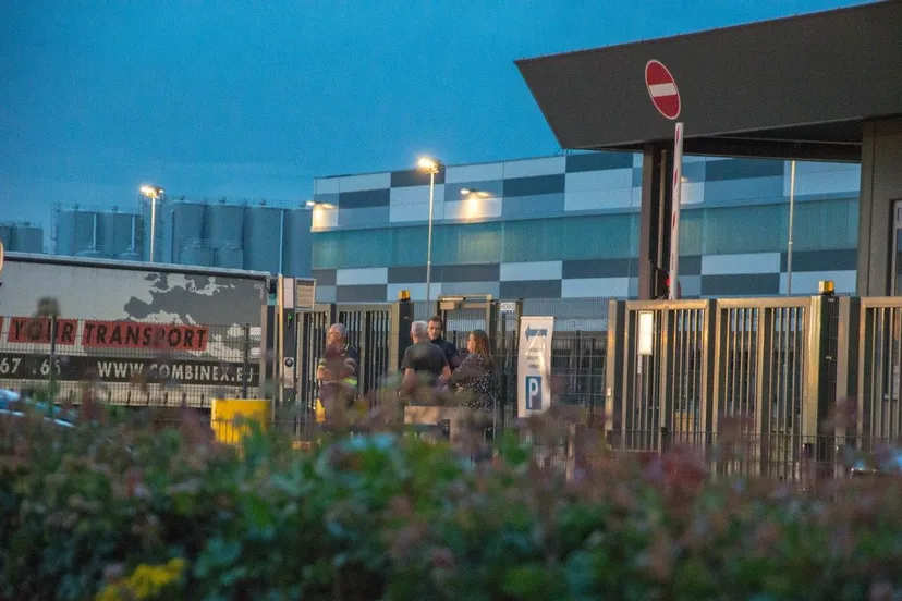 photo 2020 07 06 08 47 34 2