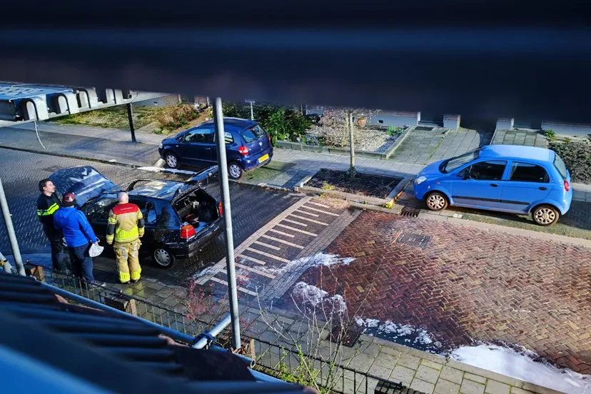 photo 2023 04 04 10 02 03 2