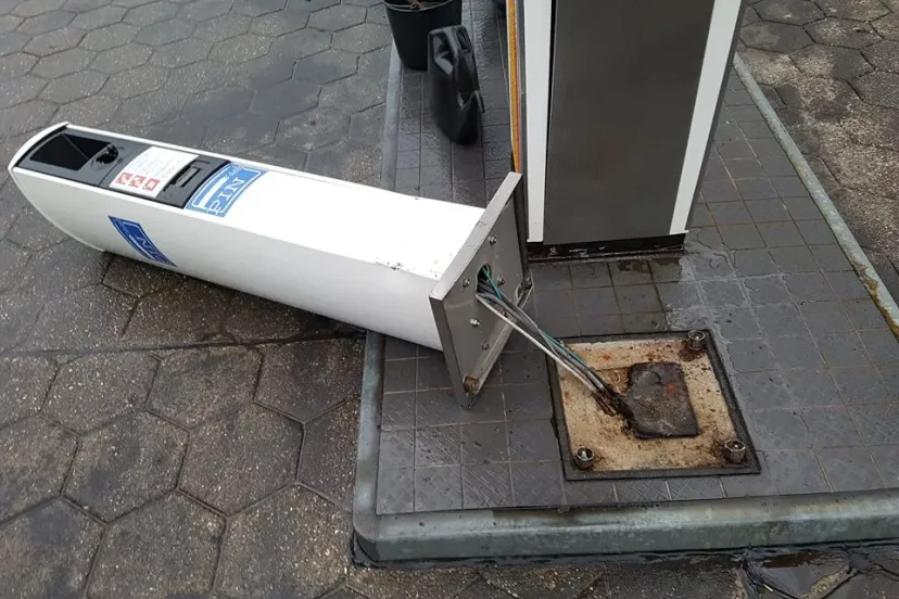 pinzuil omvergereden minnaard 1