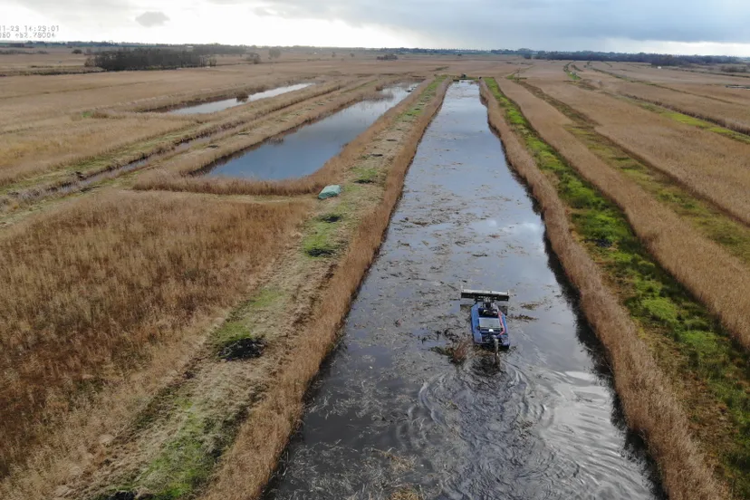verwijderactie exoten weerribben