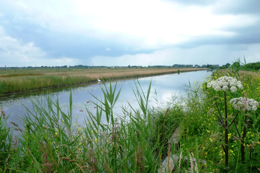 watergang landelijk gebied