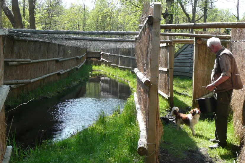 wessel scherm hond large