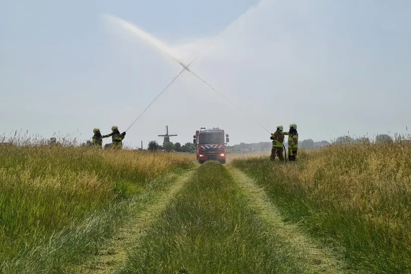 whatsapp image 2022 06 18 at 10713 pm