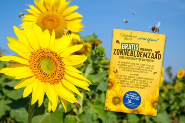 zonnebloemactie liggend