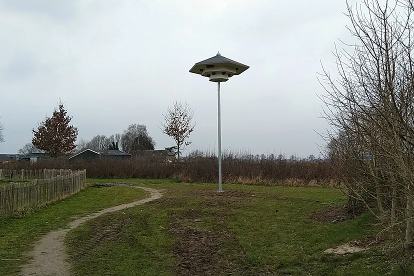 zwaluwtil de omploop2