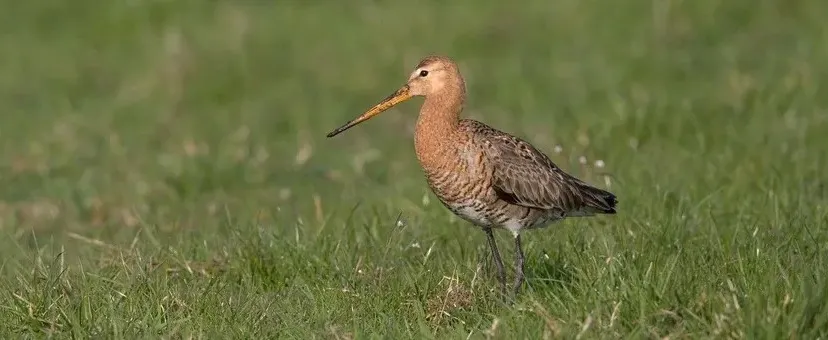 37b0c2d4-845a-49ea-b466-f6c409991d4f