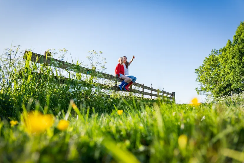meiden-op-hek_gras-met-bloemen_voorjaar-1